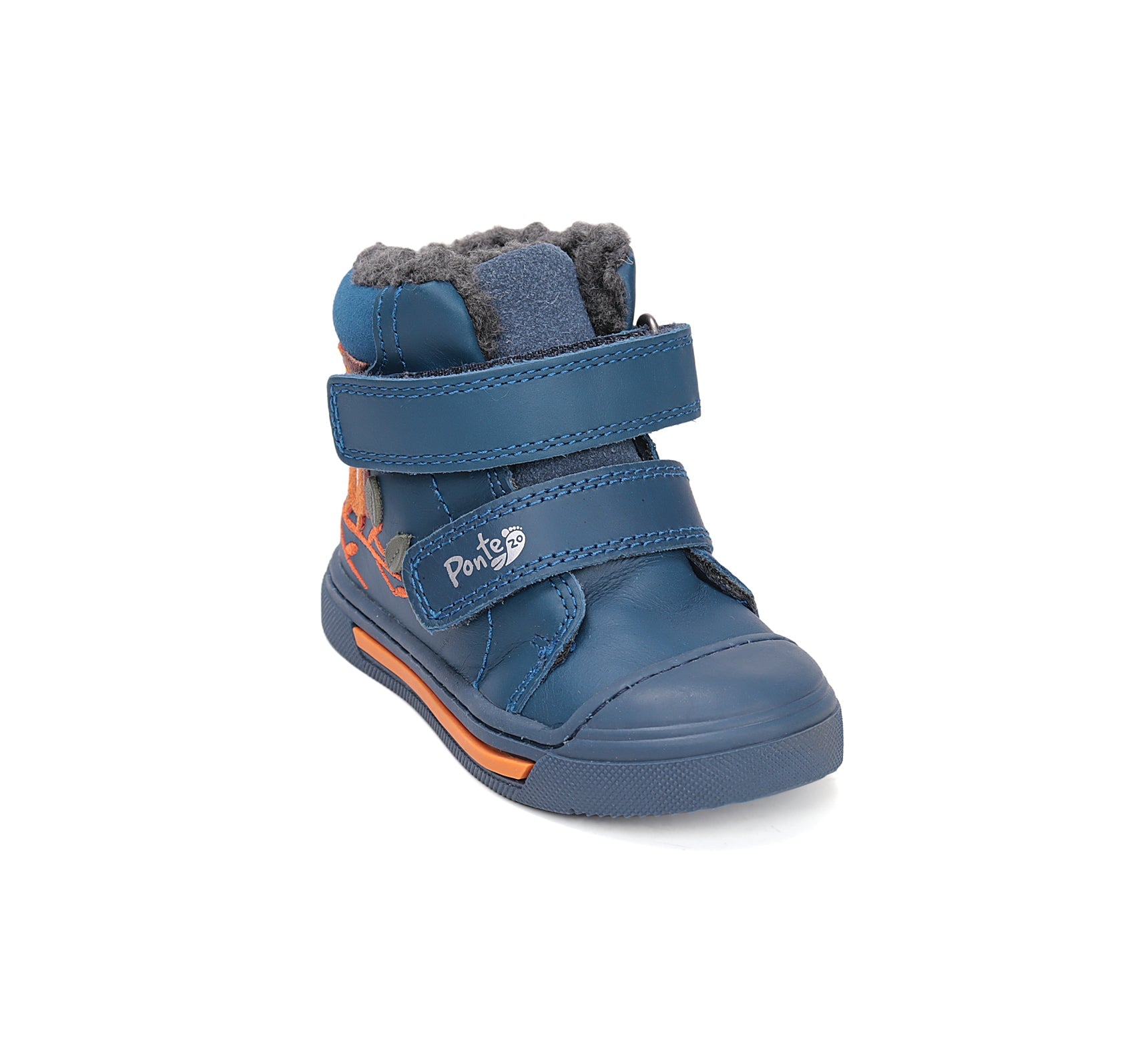 DA07-5-2491-Ponte20-DDStepOnline Europe