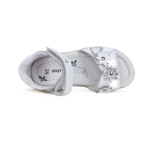 G064-41861B-D.D.Step-DDStepOnline Europe